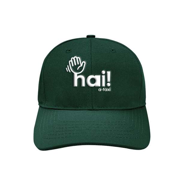 Topi